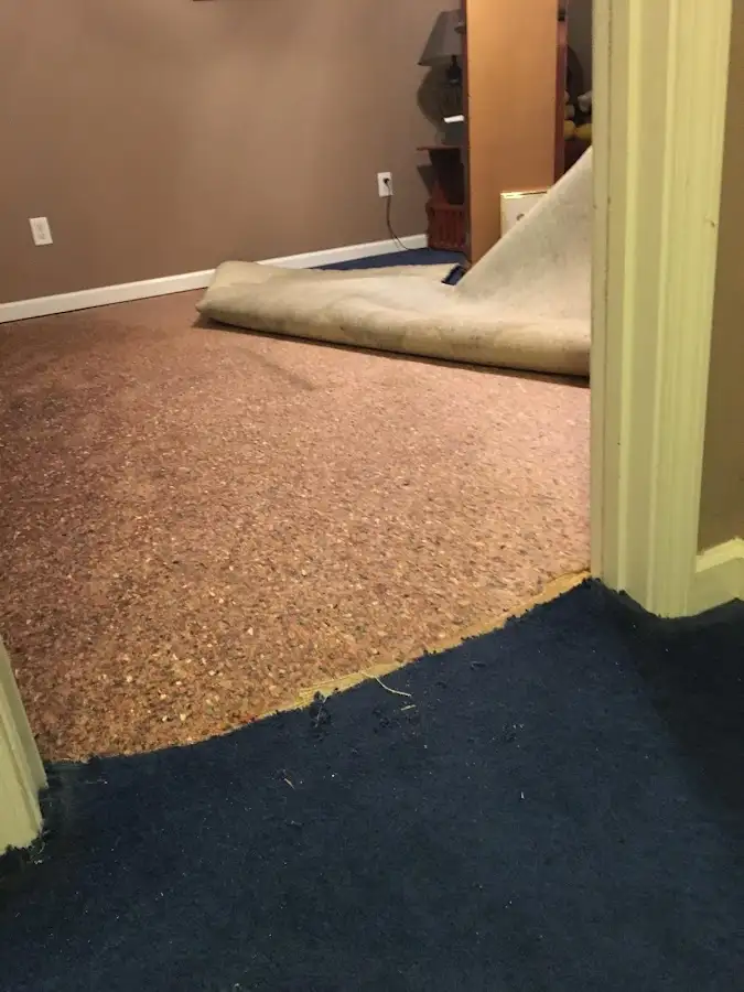 Carpet pad removal revealing water damage during Water Mitigation Services in Waltham