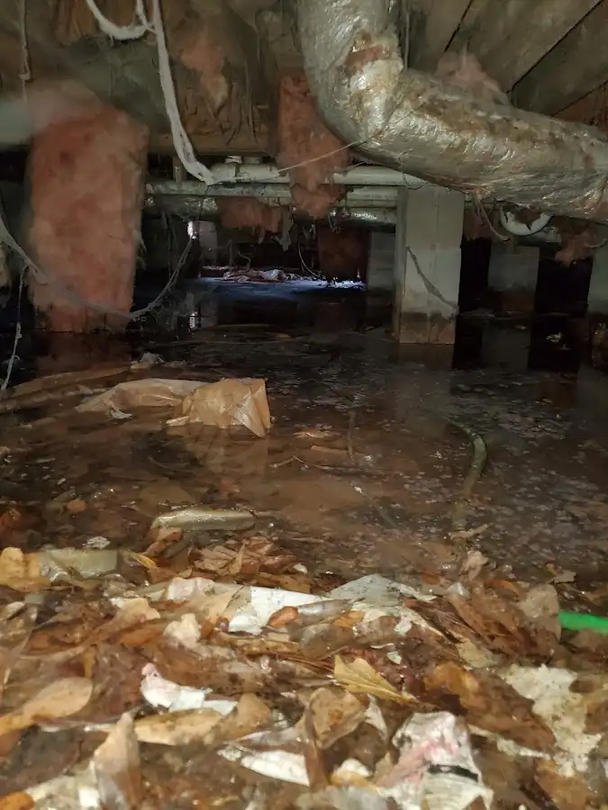 Crawl space flood assessment for Leak Detection & Repair in Waltham